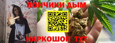 крисы Обь