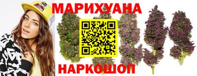 крисы Обь