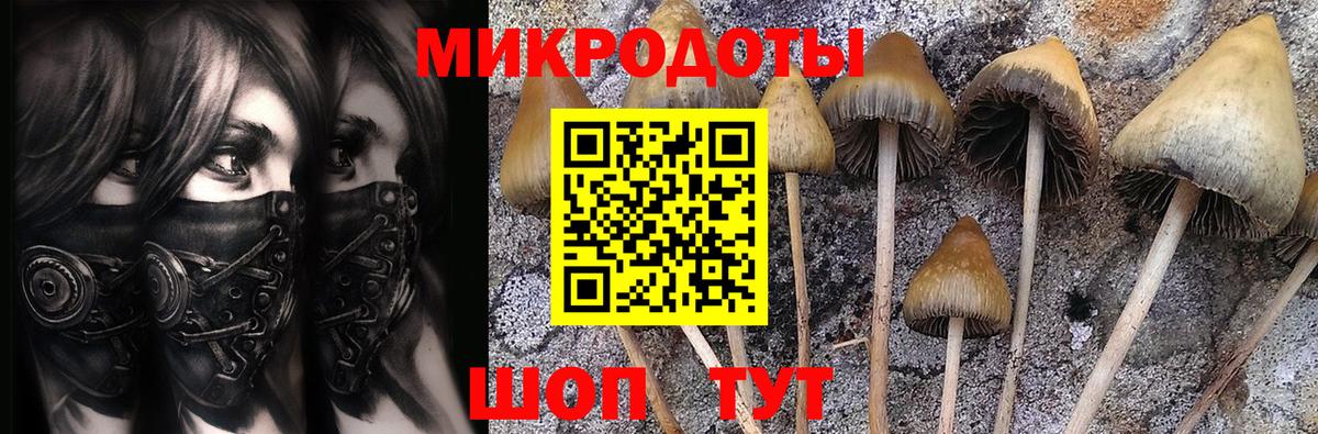Псилоцибиновые грибы ЛСД Рыбинск