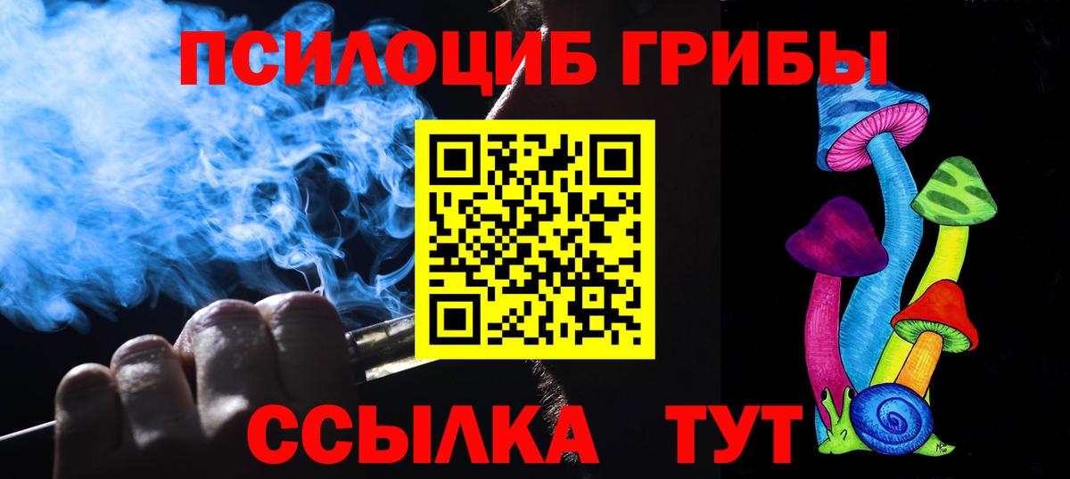 даркнет сайт  Вход с VPN  Рыбинск  Галлюциногенные грибы Psilocybe  Псилоцибиновые грибы прущие грибы 